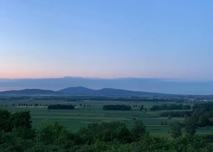 Drewniany Dom W Brzozowisku