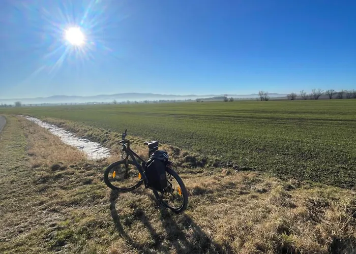 Drewniany Dom W Brzozowisku Peterswaldau