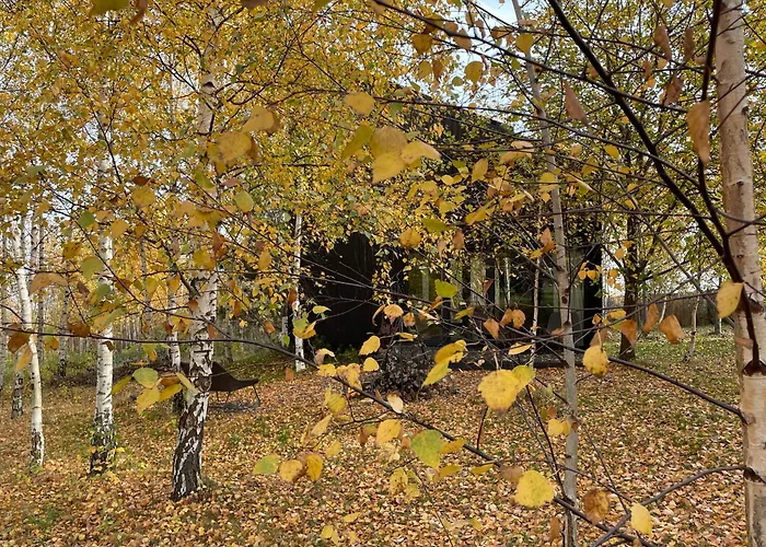 Chalet Drewniany Dom W Brzozowisku