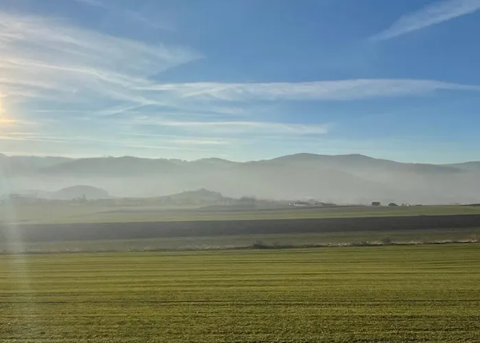 Drewniany Dom W Brzozowisku * Peterswaldau