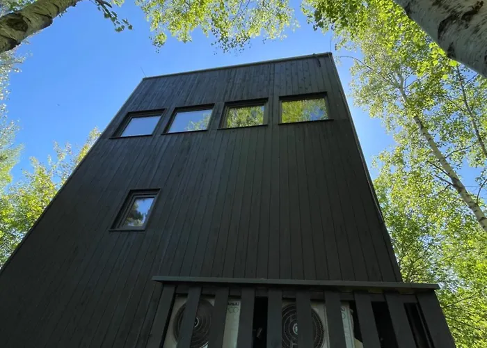 Chalet Drewniany Dom W Brzozowisku