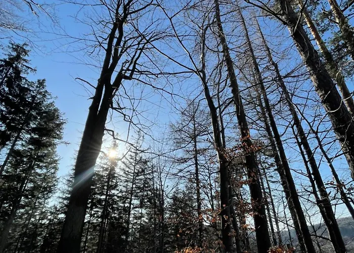 Drewniany Dom W Brzozowisku Chalet Pieszyce