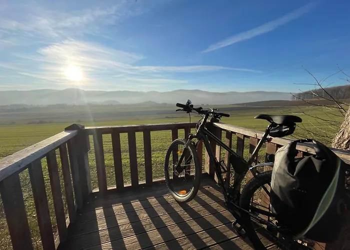 Drewniany Dom W Brzozowisku