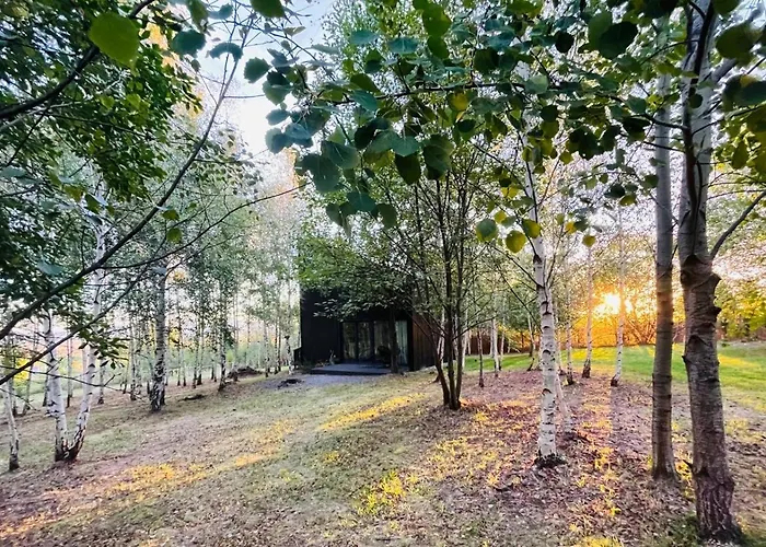 Drewniany Dom W Brzozowisku Peterswaldau