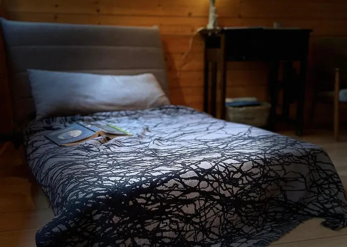 Drewniany Dom W Brzozowisku * Peterswaldau