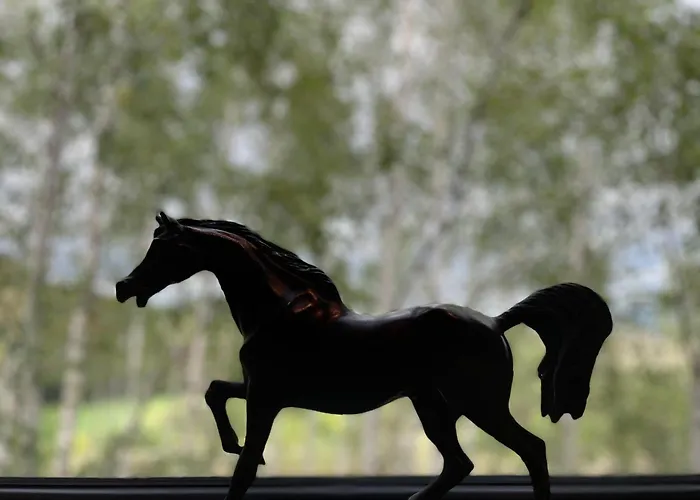 Drewniany Dom W Brzozowisku Chalet