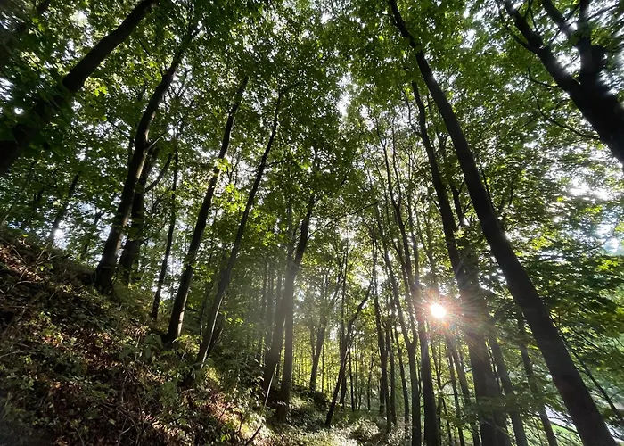 Drewniany Dom W Brzozowisku Chalet