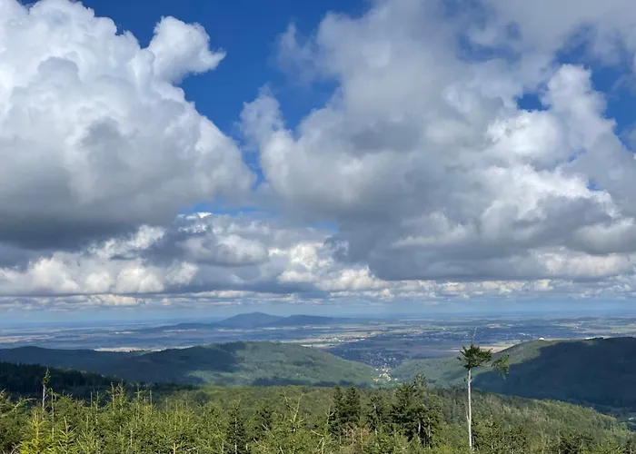 Drewniany Dom W Brzozowisku Chalet Pieszyce