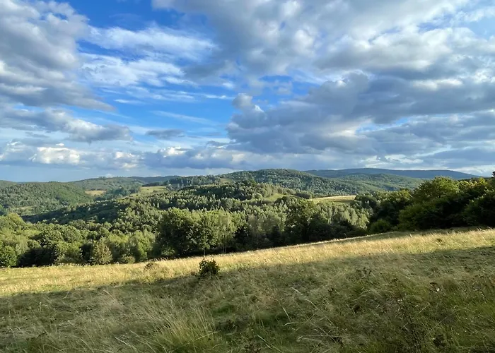 Chalet Drewniany Dom W Brzozowisku *