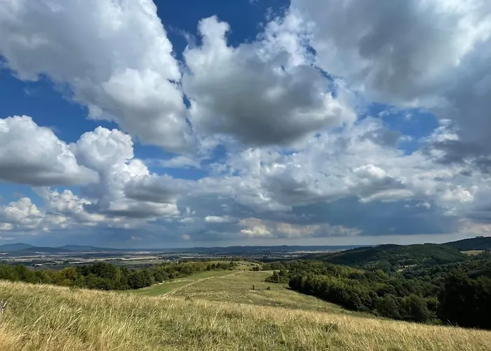 Drewniany Dom W Brzozowisku