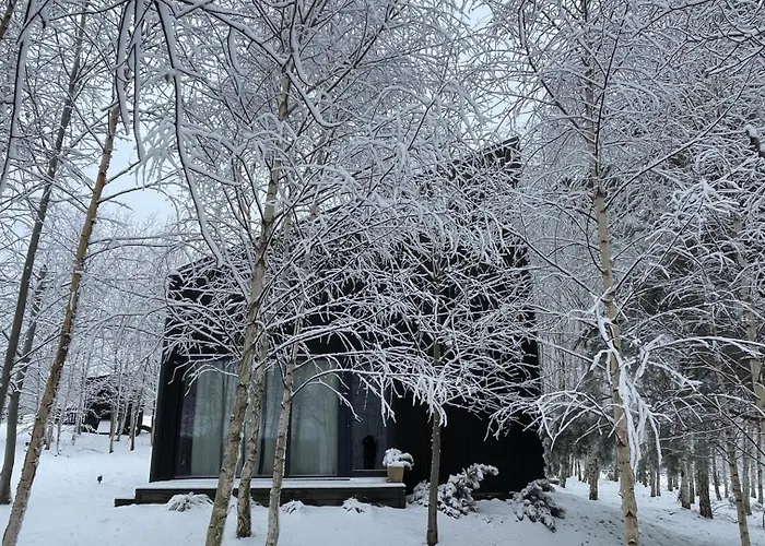 Chalet Drewniany Dom W Brzozowisku