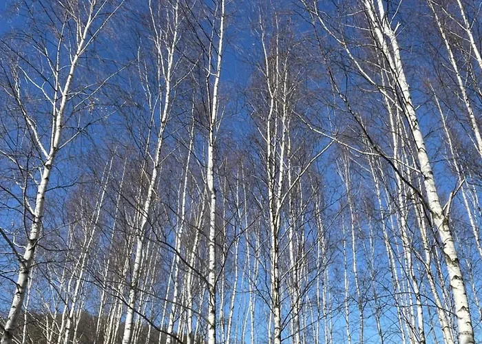 Drewniany Dom W Brzozowisku Chalet *